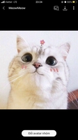 tùm lum đồ cũ bán rẻ 