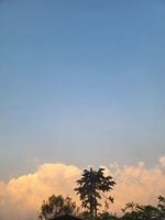 Ân