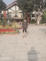 Đăng
