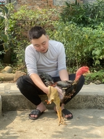 Hữu Thế