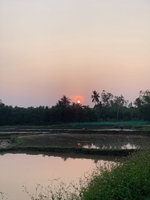Tư Đỗ