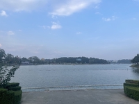 tiến