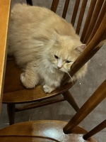 Tên chưa cung cấp