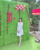 Vy Anh