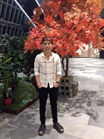 Thành Mai