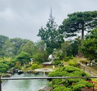 Trịnh Nguyễn Phương Nhi