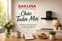 Lê Hữu Bảo Việt