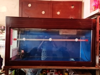 Đức 