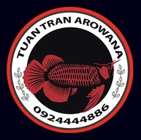 Cá Rồng Tân Phú