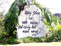 hồng phát
