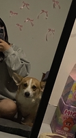 kimngan