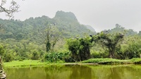 MẠNH
