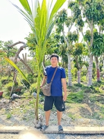 Phạm Hoàng Thạch