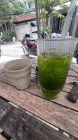 Hồ  Toàn