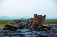 ních bán trên 6 năm 