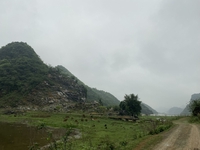 Van Binh