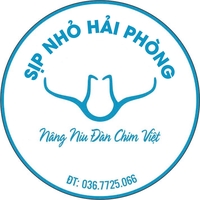 sipnhohaiphong - 0367725066