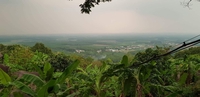 a Tín