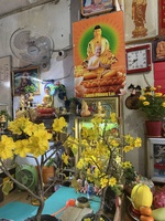 Thành Phát