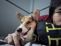 Trần Thiệu Quang