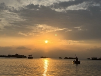 Hoàng