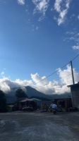 nguyên