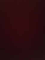 Hữu Ý
