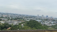 cường