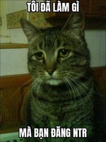 Toàn