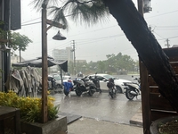 Nguyễn Xuân Hải