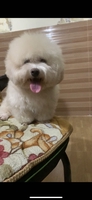 quang