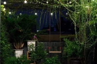 Hạnh