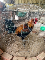 Huỳnh Lộc Bến Tre