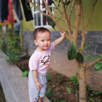 cao quốc uyên