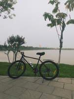 Anh Huy  