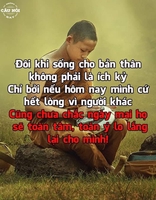 thảo
