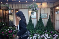 Minh Anh 