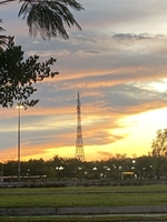Duy trần