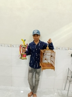trùm chim cỏ