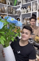 Thế Giới Thú Bông Henry Phạm