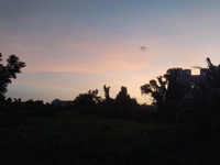 Tên chưa cung cấp