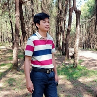 Nam Phong