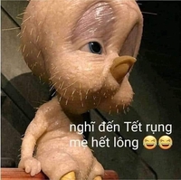só bếp
