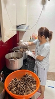 Bồ Tuyền
