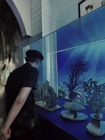 Nguyễn Quốc Hạnh