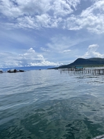 Tấn Phong