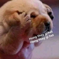 Nguyễn Tường Duy