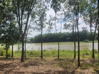 ĐẤT BÌNH PHƯỚC