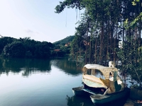 Trần Hoàng Đức