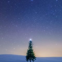 Nguyễn Quang Hảo